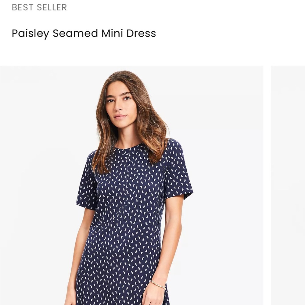LOFT Paisley Seamed Mini Dress, M